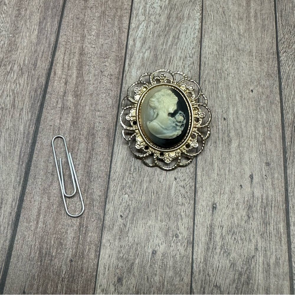 Vintage Gold Acrylic Cameo Brooch‎ B6